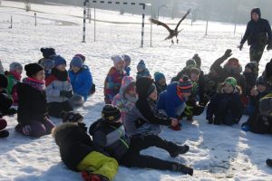 zdjęcie 10 / 12 