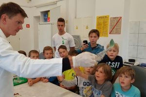 zdjęcie 6 / 12 