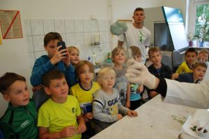 zdjęcie 1 / 12 