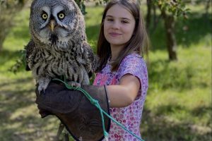 zdjęcie 89 / 120 