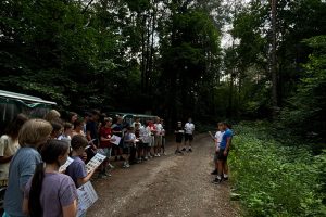 zdjęcie 55 / 78 