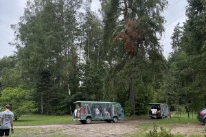 zdjęcie 19 / 78 